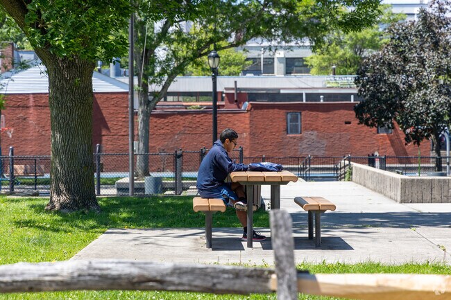 Kittrel Park in Fisher Hill is the perfect spot for getting some sun and reading a book.