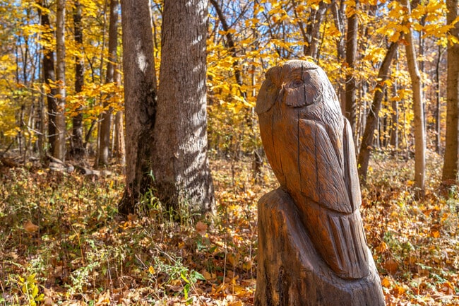 Russell Woods Forest Preserve features an owl carving along its trails near Kingston.