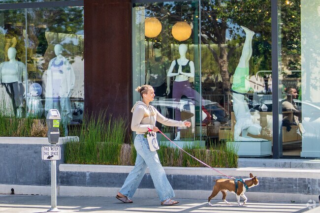 West Berkeley is very walkable, and stores sit along wide sidewalks.