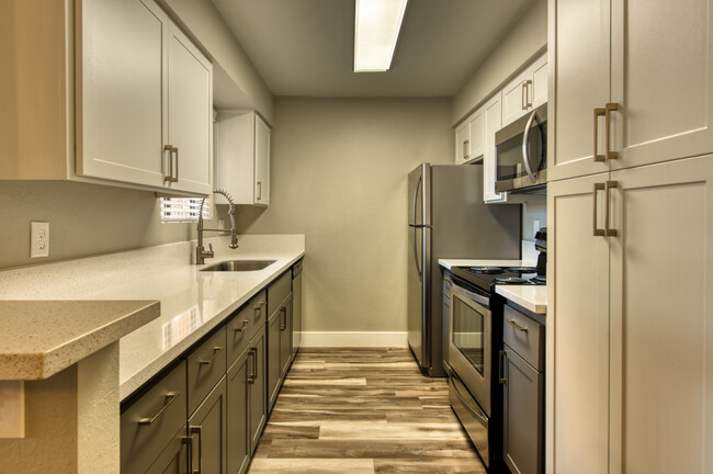 Renovated Kitchen