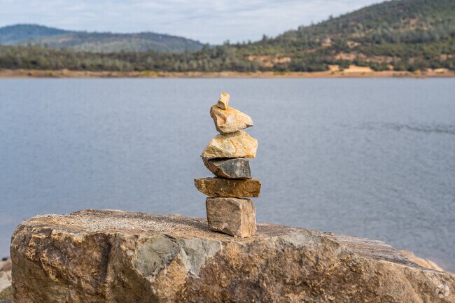 Spend a day in the sun at Collins Lake.