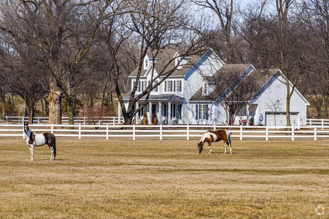Horses and cattle populate Marion's pastures.