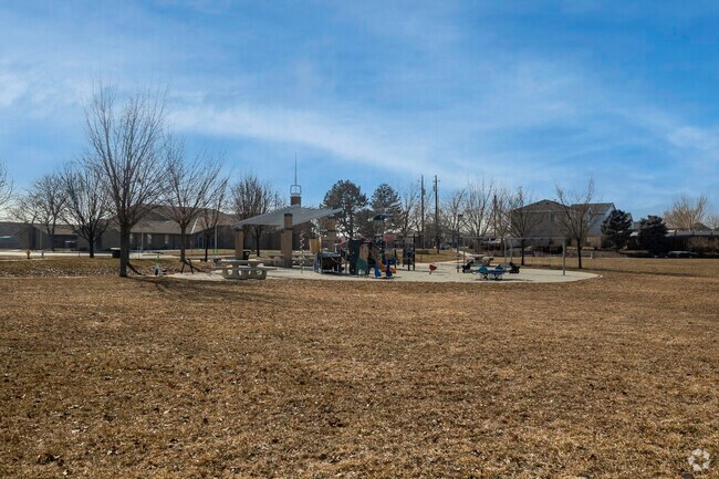 Meadows Community Park playground.
