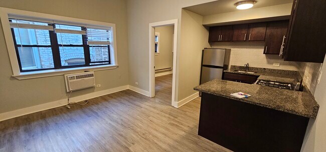 1437 N Dearborn St unit B4, Chicago, IL 60610 - photo 3