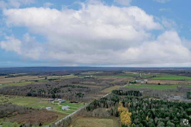 Welcome to the North Collins neighborhood, we're family..