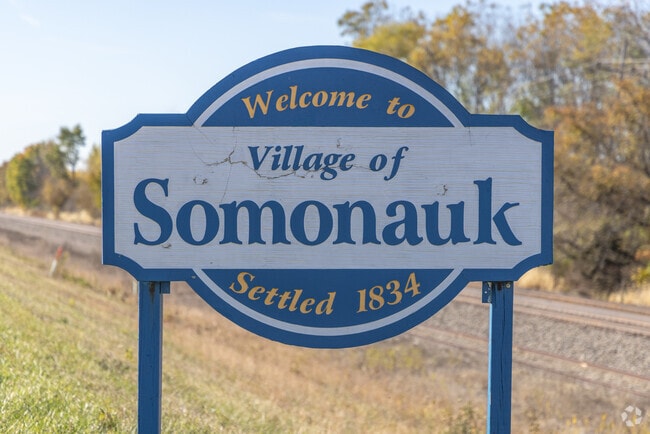Welcome to Somonauk, a historic community established in 1834.