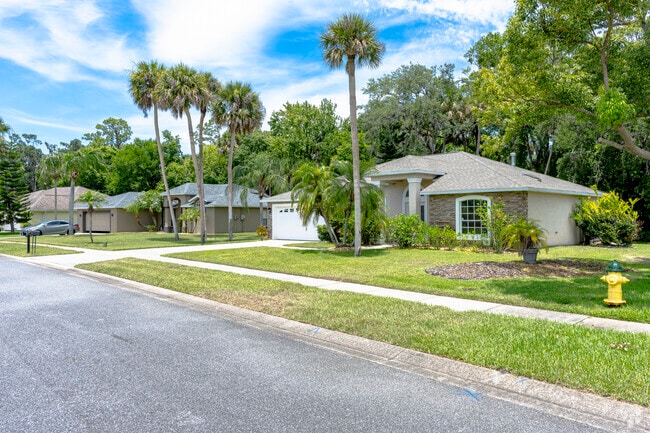 This South Port Orange row of homes boasts spacious yards and native palms.