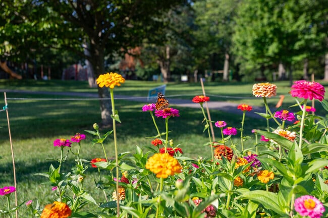 Wildlife and flora isn't hard to come by in Olivette.