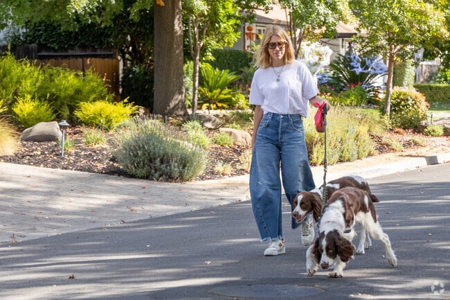 Dogs and their owners love walking the quiet streets of the Diablo.