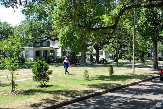 Leonidas has plenty of room for walking and running along the St Charles tracks.