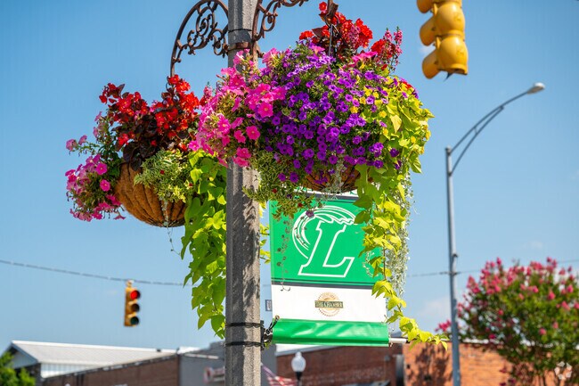 In Leeds Alabama hanging flowers are enjoyed as you walk down the street.