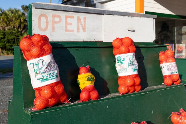 The Orange Shop is a popular roadside stop featuring local citrus, and fresh from the tree OJ!