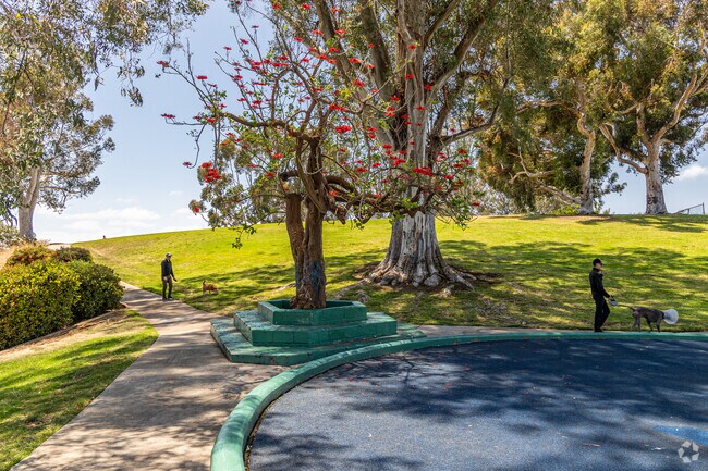 Grant Hill Park is the heart of the community and a popular place to walk dogs and relax.