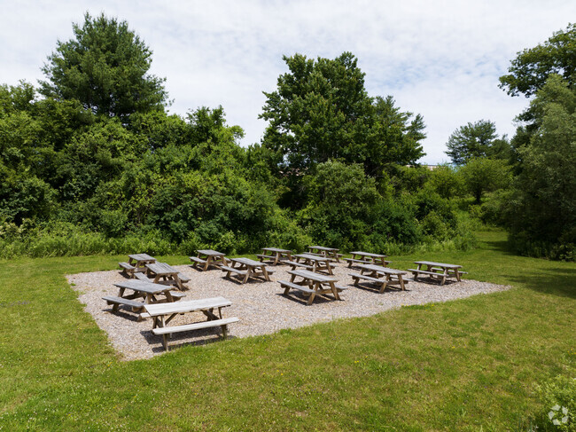 A large group of picnic tables brining class and meal time outside in Great Barrington, MA.