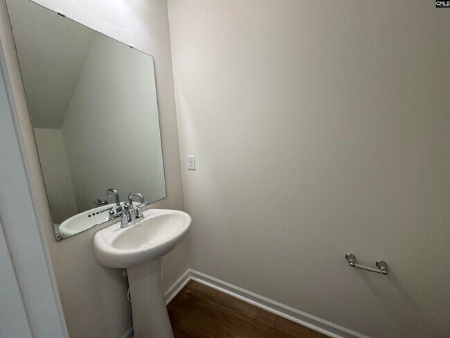 1064 Flat Coat Ln, Chapin, SC 29036 - photo 4