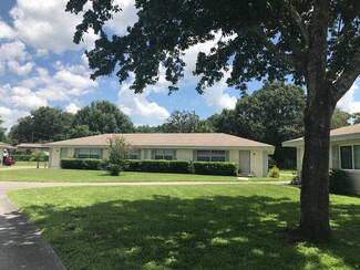 507 Margot Ct, Brandon, FL 33511