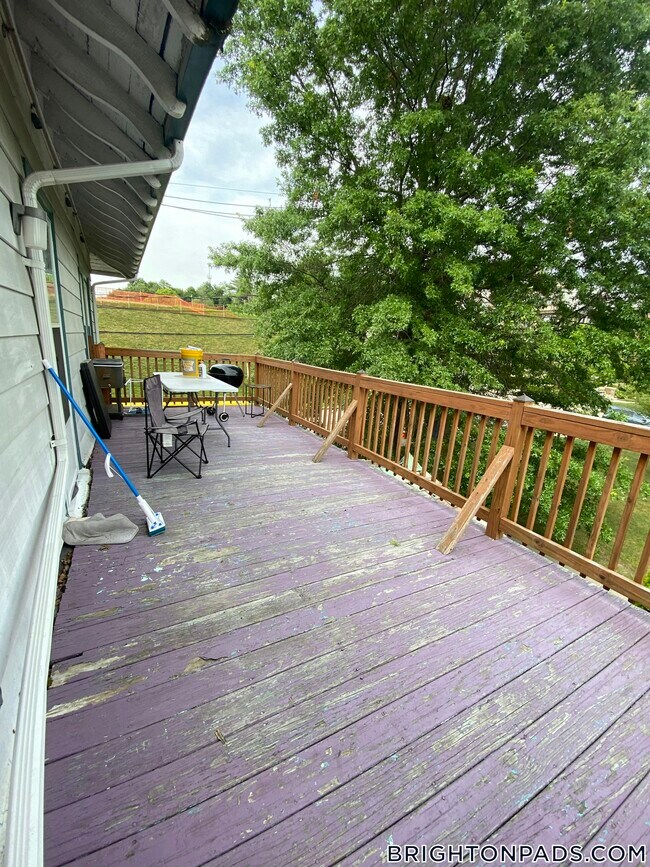 233 Commonwealth Ave, Chestnut Hill, MA 02467 - photo 7