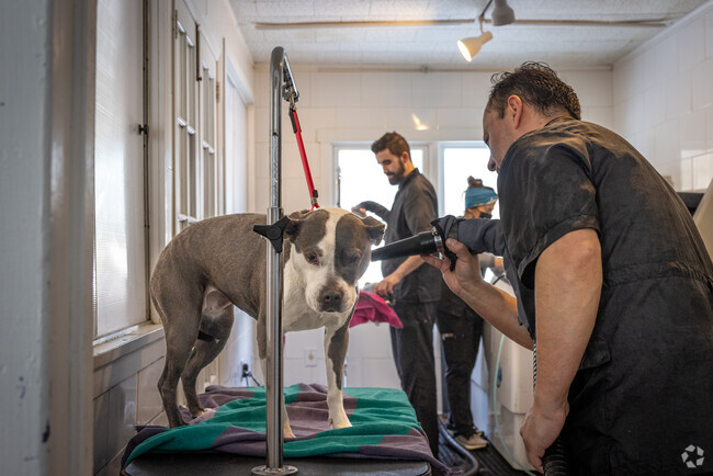 Bloomingtails Pet Grooming is the go-to for pampering canine or feline friends in New Vernon.
