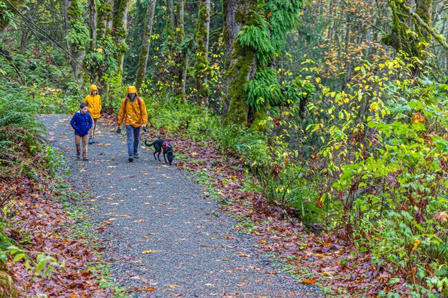 The Margaret's Way Trail is a 3-mile hike on a former logging road in Fairfield Coalfield.