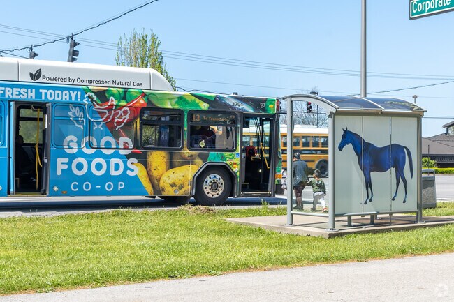 Lextran offers Plantation residents access to a network of 25 bus routes.