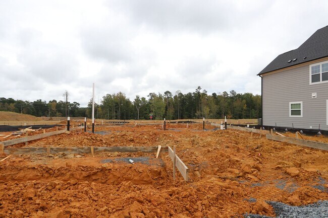 2461 Field Poppy Dr, Apex, NC 27502 - photo 3