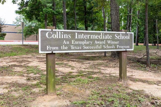Collins Intermediate School has high student math and reading proficiency.