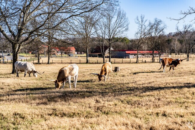 You can large farms in the Cottontown neighborhood.