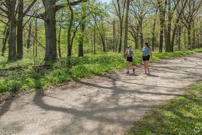 Enjoy a brisk morning walk at Orland Grove Woods.
