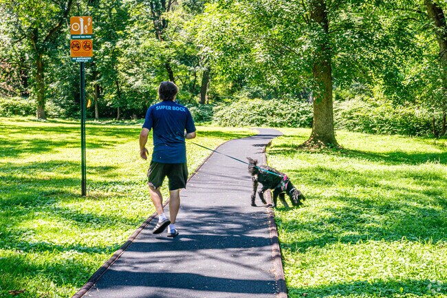 Conant Park in Hillside, NJ is very pet friendly.