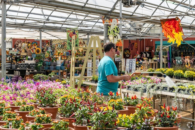 DeMonye's Greenhouse near Teakwood features seasonal flower baskets.