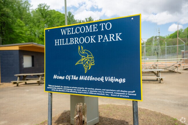 The Vikings are the main baseball team in the Hillbrook neighborhood.