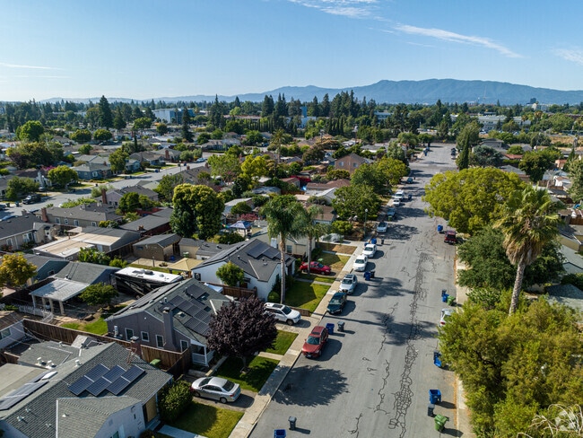 Tree Lined Streets Offer Shade On Hot Days.