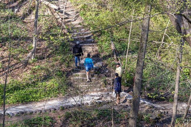 See if you can find all 7 bridges at Seven Bridges Trail near Drexel Highlands.