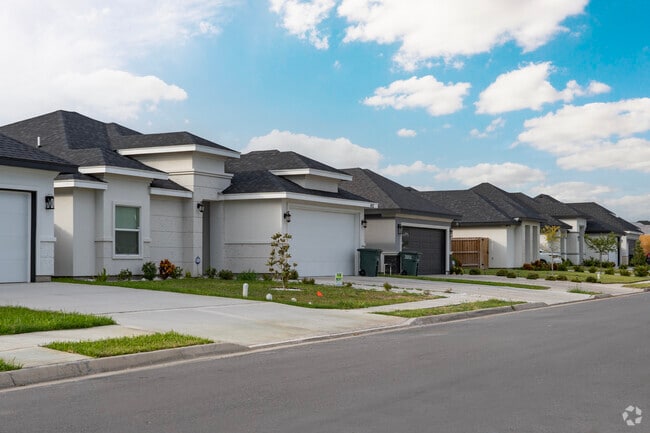 Modern single-story homes line a quiet street in a growing San Juan neighborhood.