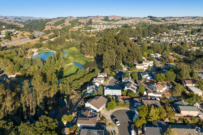 Keep one foot in the city and one in the forest in the Upper B Street.