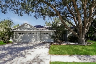 4220 Fleewell Ct, Valrico, FL 33596