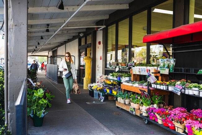 Trader Joe's is a great place to get some groceries in the San Tomas neighborhood.