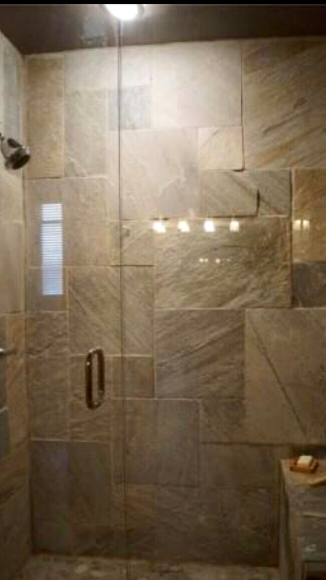 Master Bath Shower
