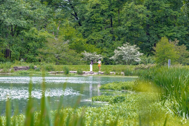 Mount Airy forest feature trails and plenty of spots enjoy a day in Mount Airy.