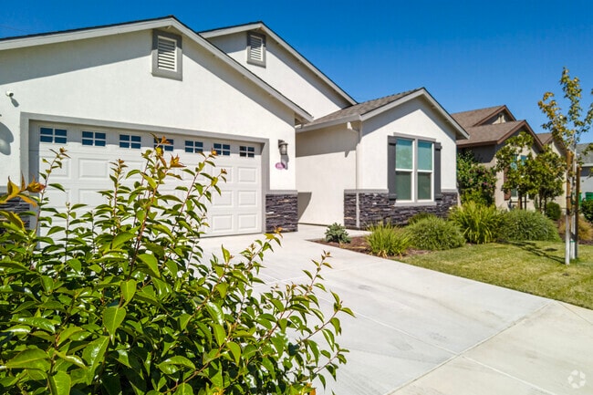 Leafy plants grow in front of many of the homes in the Kennedy area.