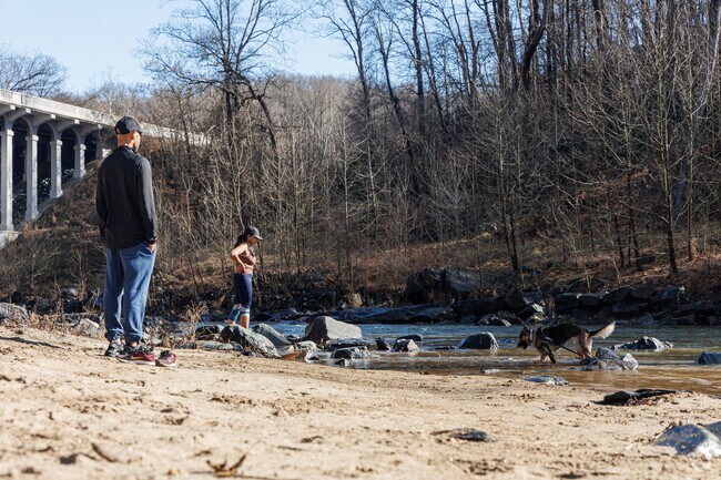 Hollofield in Patapsco Park is a favorite spot for dogs to splash and play in the water.