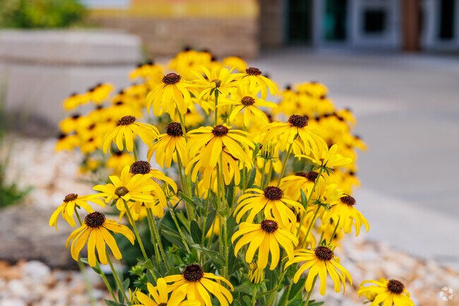 Flowers add natural beauty to the Sherwood Elementary School campus.