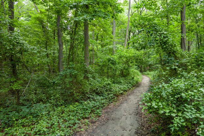 Peaceful dirt paths wind through the Nature Trails in Somerdale, New Jersey.