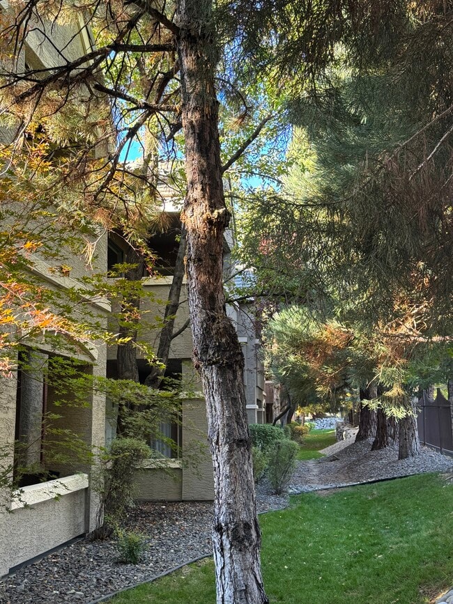 900 S Meadows Pkwy unit 1124, Reno, NV 89521 - photo 7