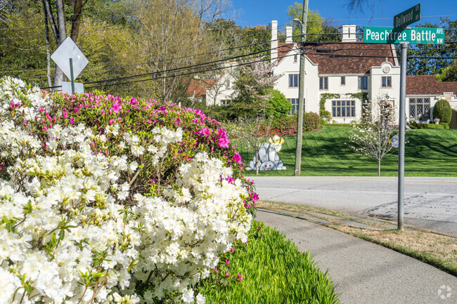 You'll find bushes of beautiful flowers throughout Peachtree Battle.