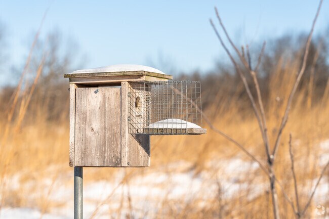 A variety of animals and birds call Token Creek County Park their home.