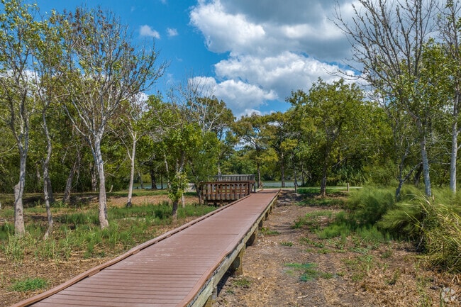 JJ Mayes Nature Preserve near Mont Belvieu is a serene escape from the busyness of daily life.