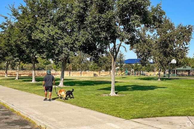 Robla Community Park, near Northpointe, is a great place to walk your dog.