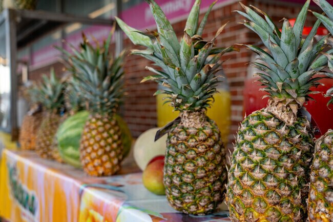 Agua Fresca is within arms reach of the Belle Vue neighborhood at various authentic food trucks.