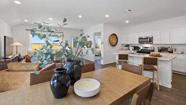 173 Balmorhea St, Kyle, TX 78640 - photo 7